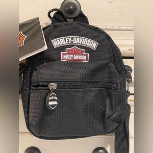 Harley Davidson Mini